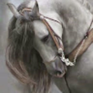 Meet your Posher, Pamela